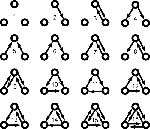 Network Motifs
